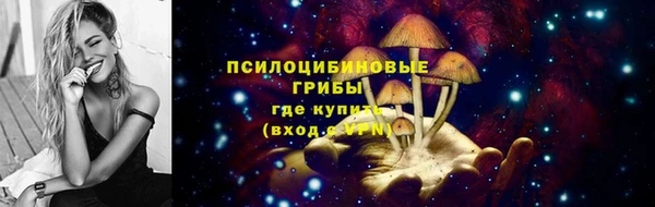 ешки Алзамай