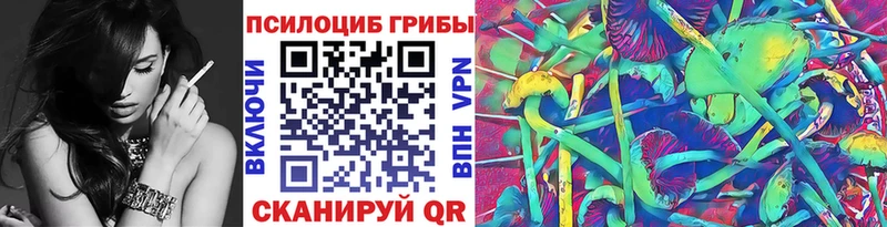 Галлюциногенные грибы Psilocybine cubensis Льгов